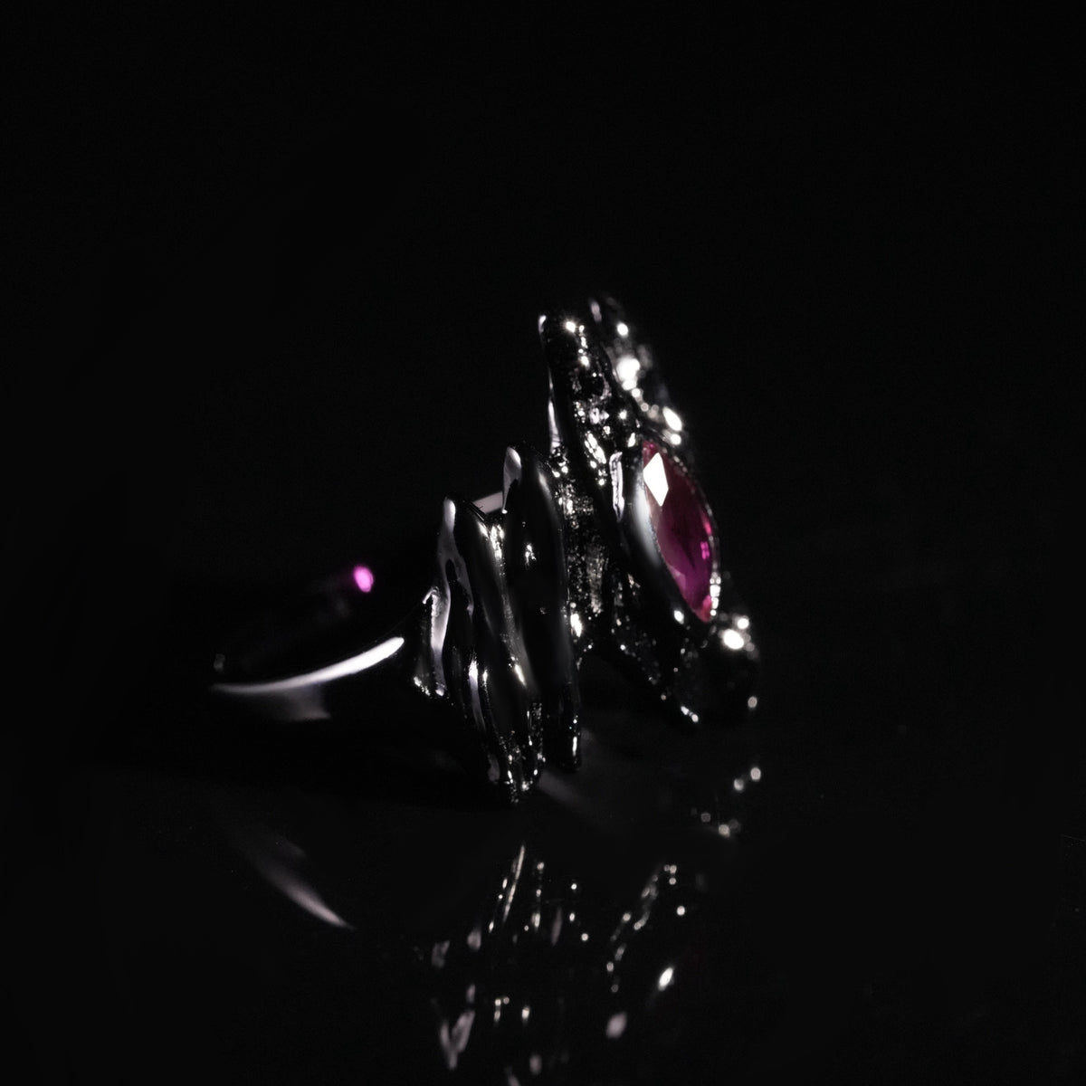 IMG_4519